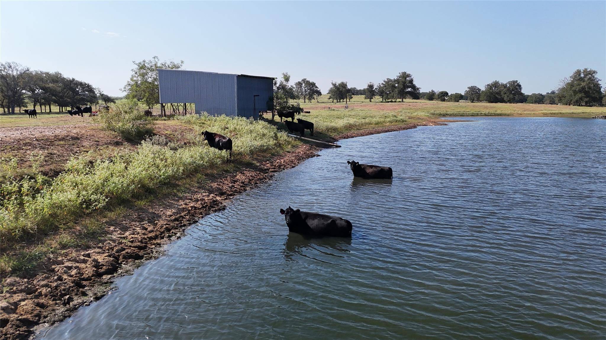 2039 County Road 326, Giddings, TX 78942