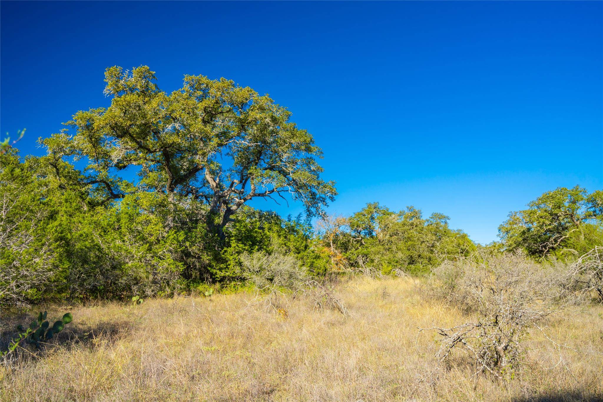 00 W McCarty LN, San Marcos, TX 78666