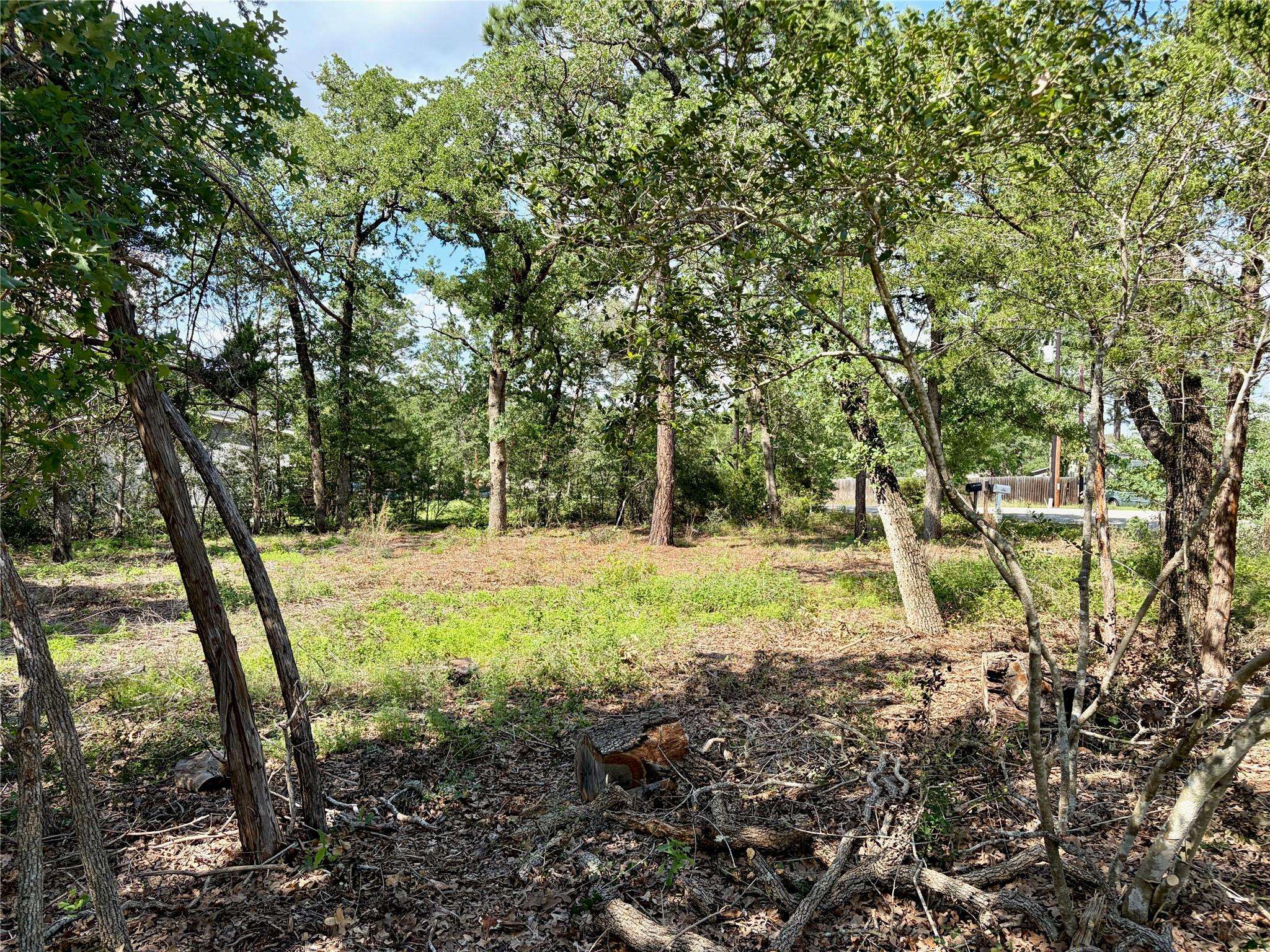 Lots-95/96 Shawnee DR, Smithville, TX 78957