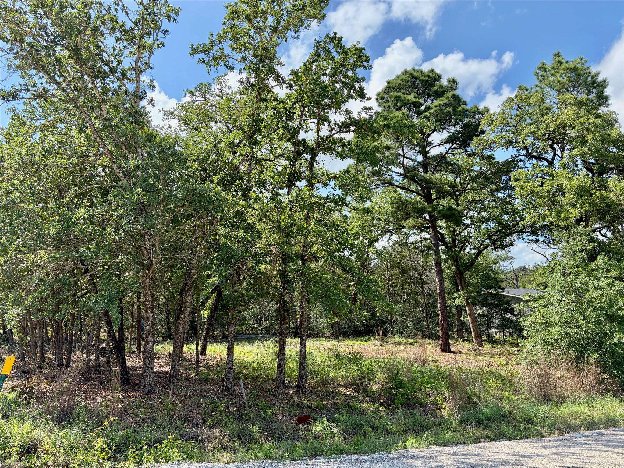 Lots-95/96 Shawnee DR, Smithville, TX 78957
