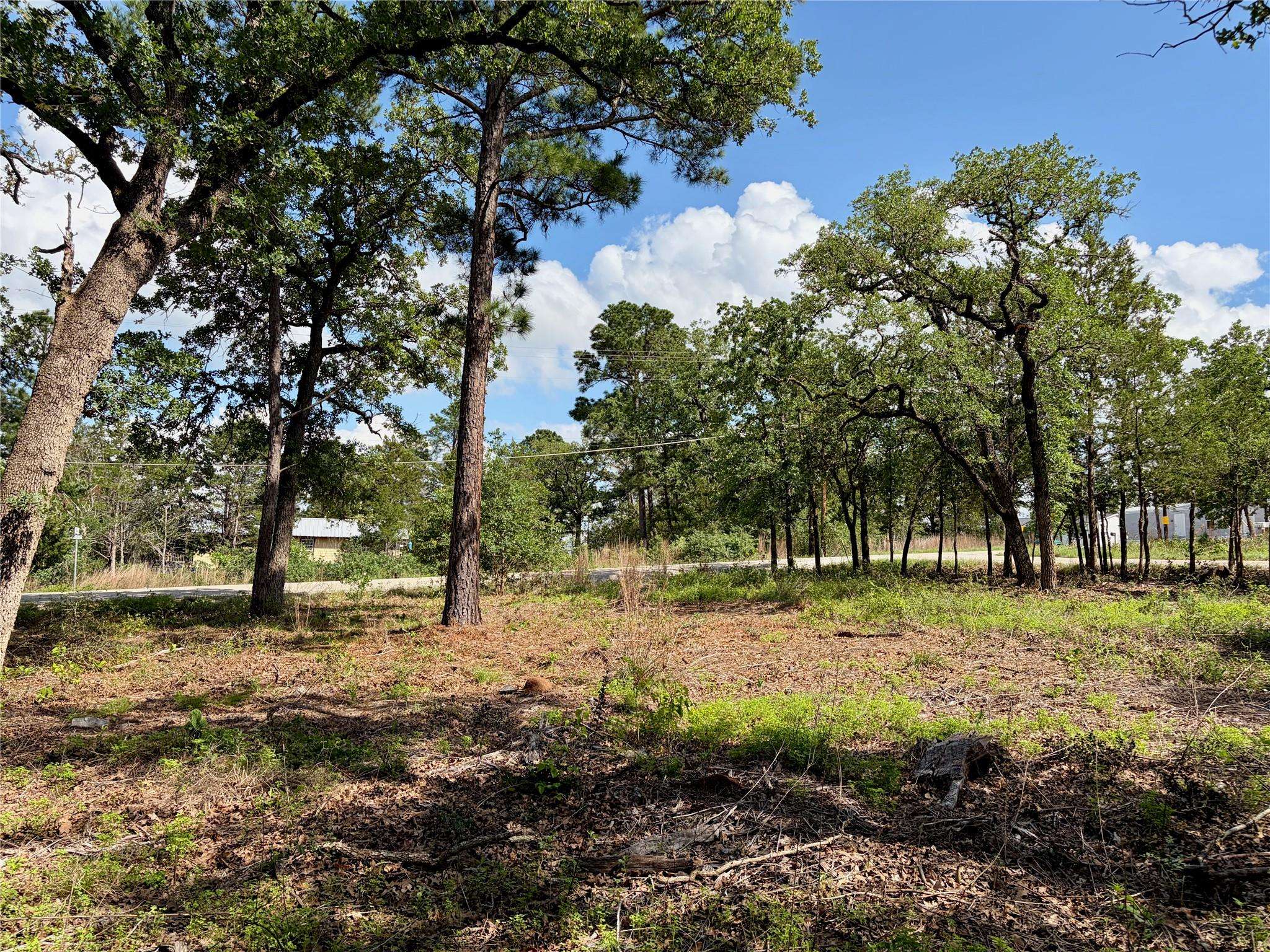 Lots-95/96 Shawnee DR, Smithville, TX 78957