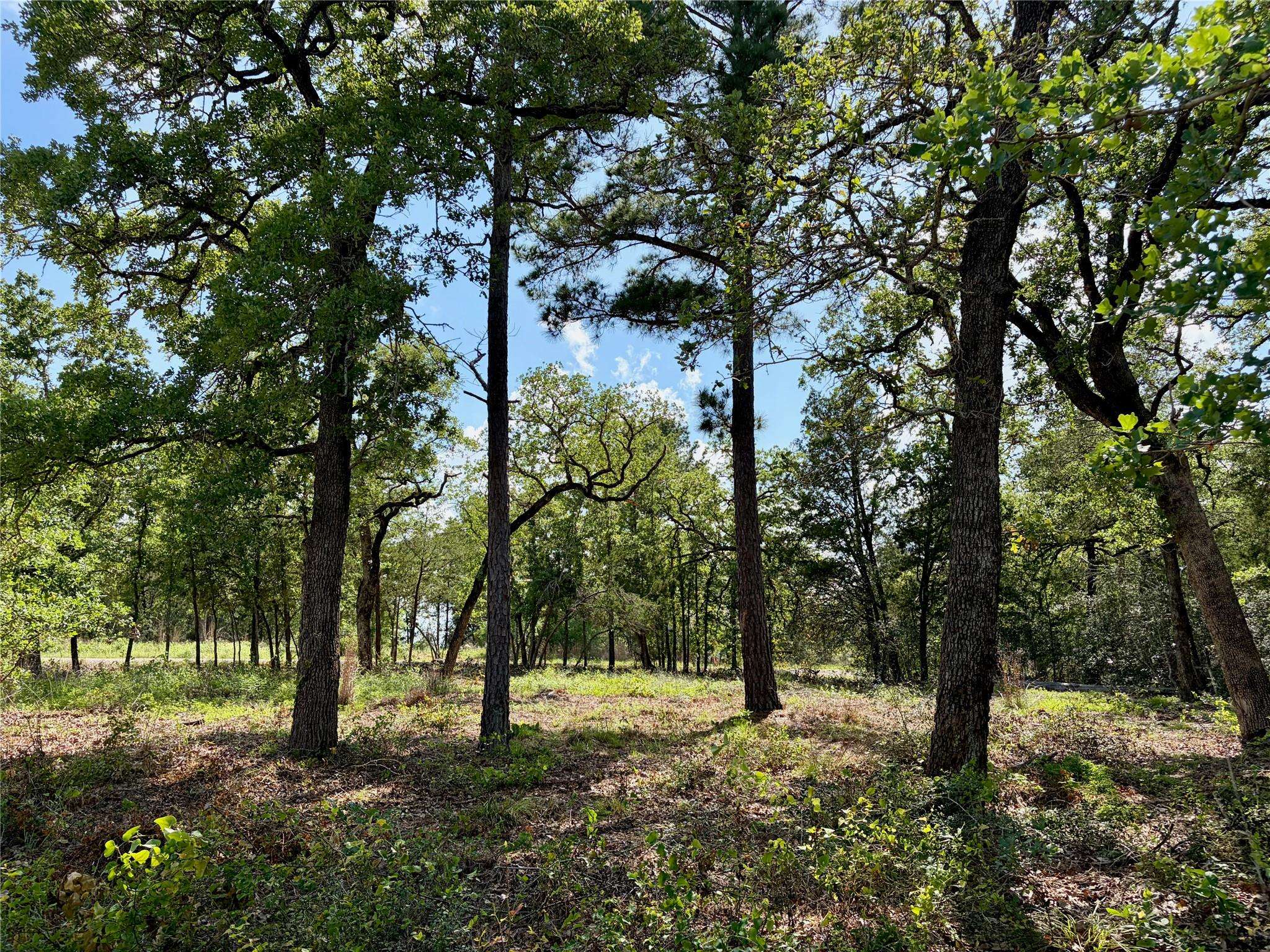 Lots-95/96 Shawnee DR, Smithville, TX 78957