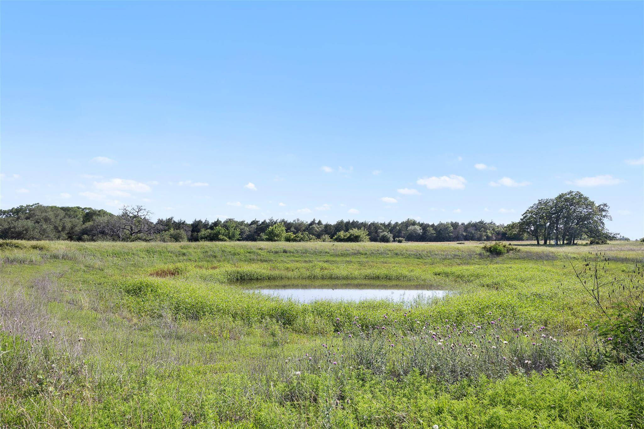 1310 N Nassau RD, Round Top, TX 78954