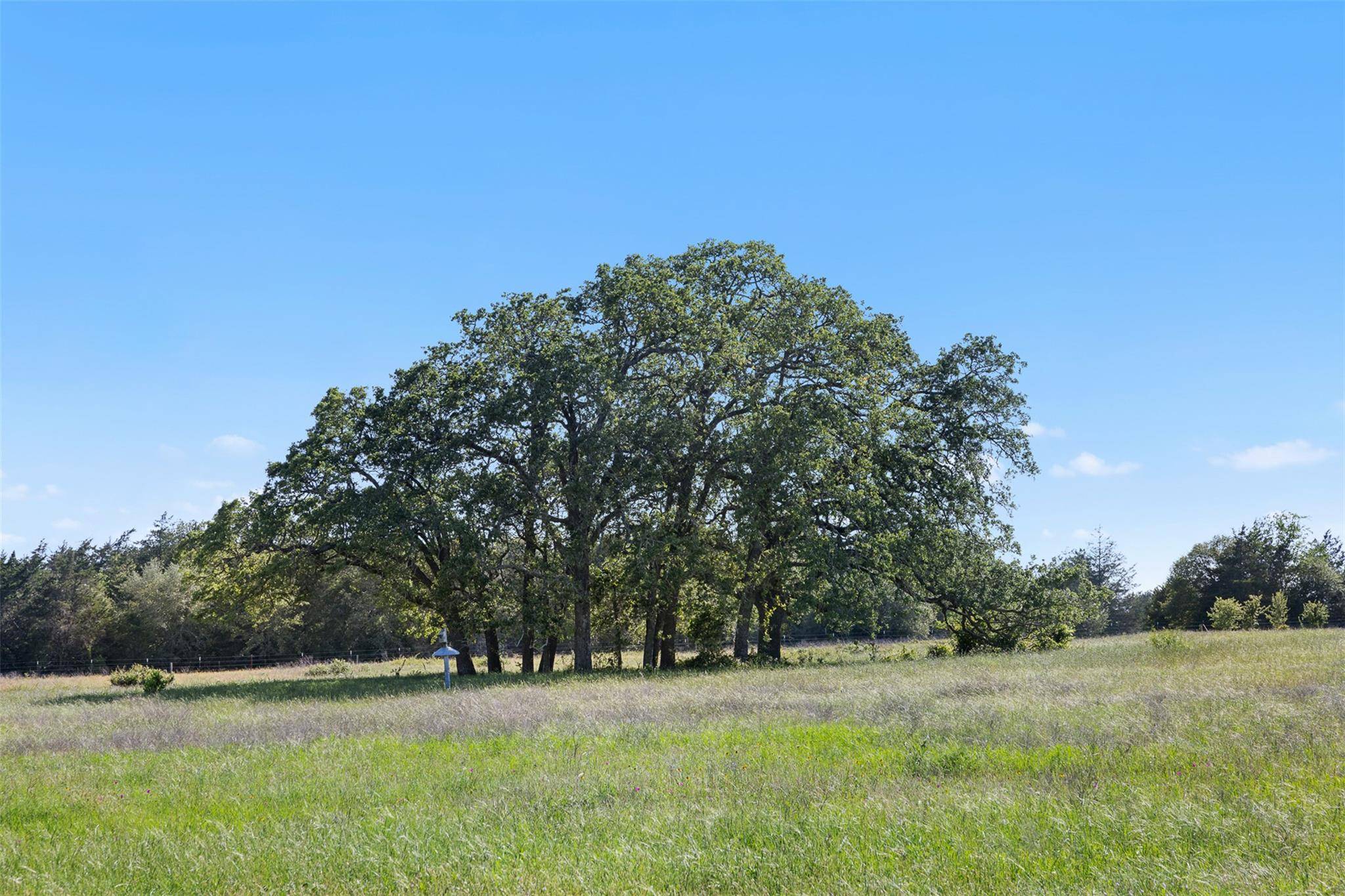 1310 N Nassau RD, Round Top, TX 78954