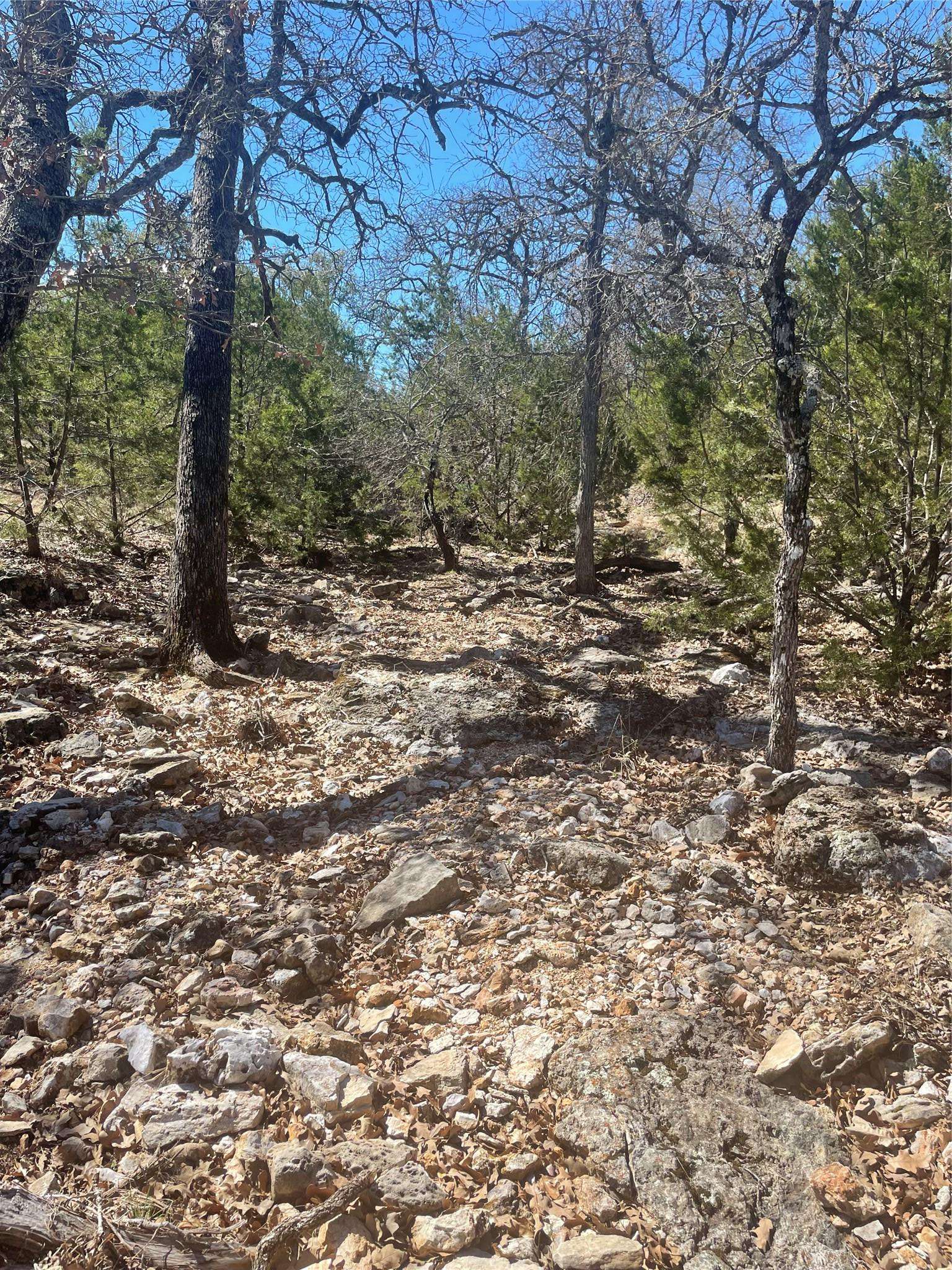 Address not disclosed, San Saba, TX 76877