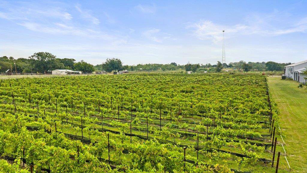 315 Ranch Road 1376, Fredericksburg, TX 78624