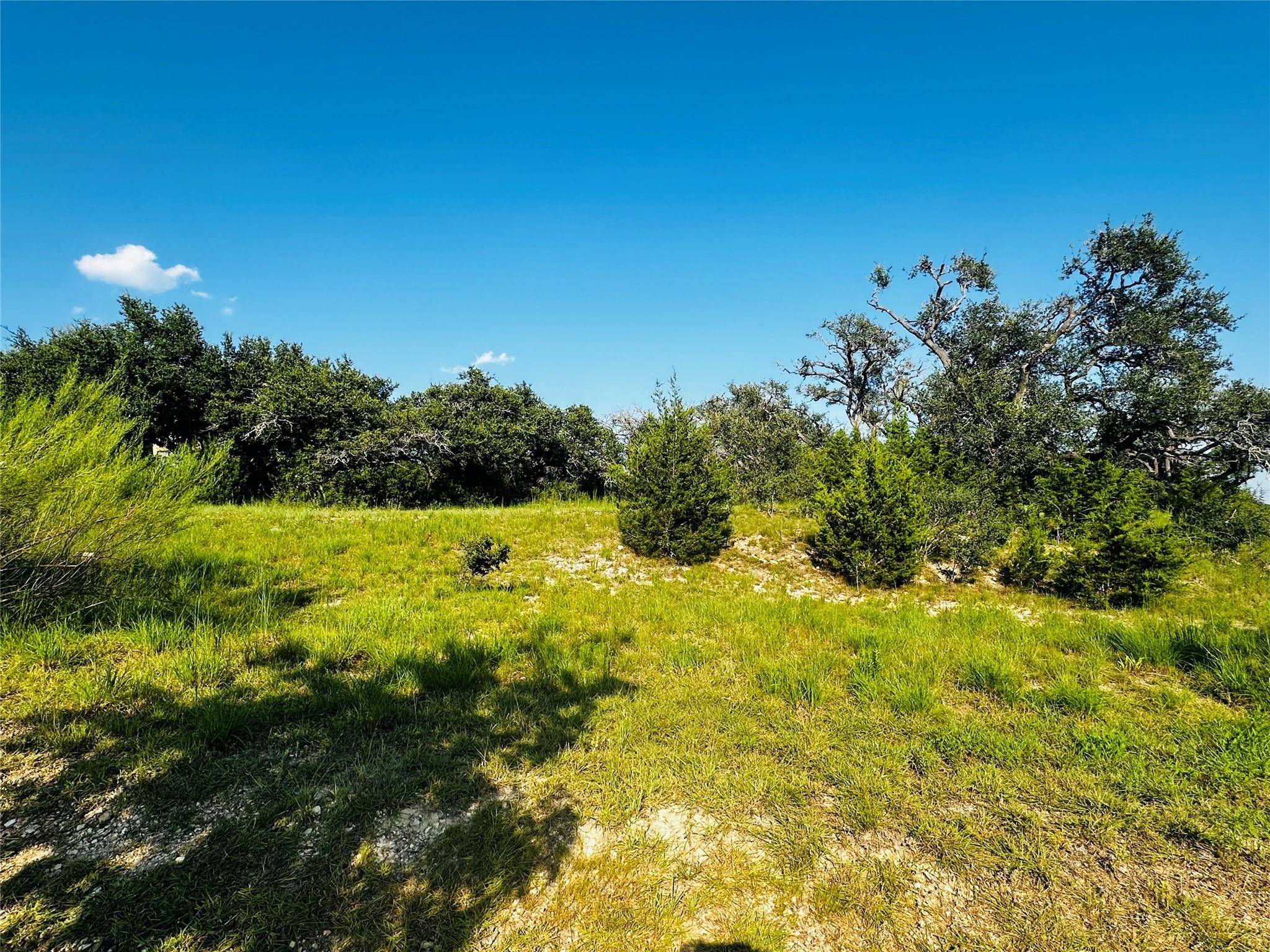 8701 Rollins DR, Austin, TX 78738