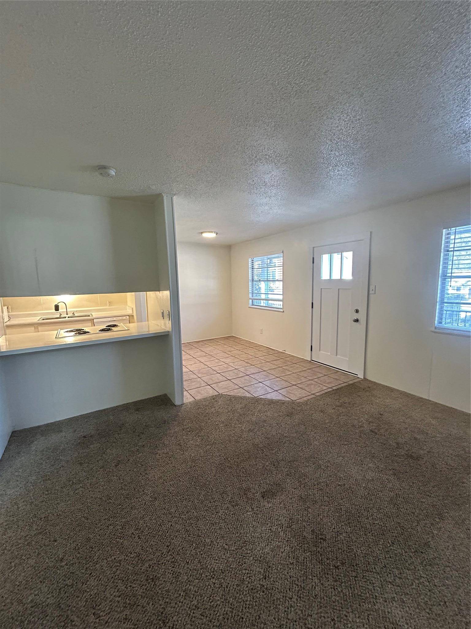 3703 Harmon Ave #207, Austin, TX 78705