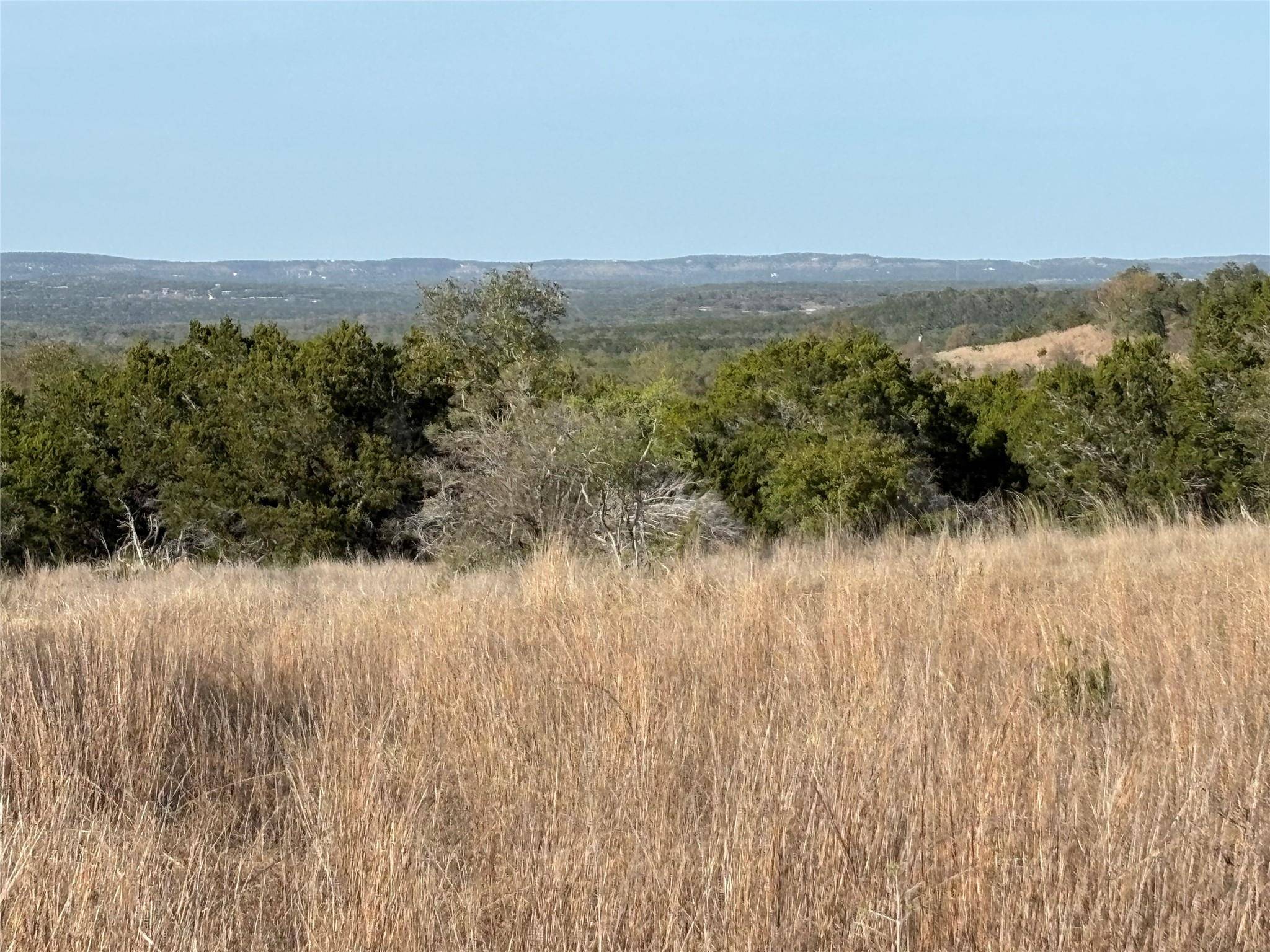 768 Tiswin TRL, Blanco, TX 78606