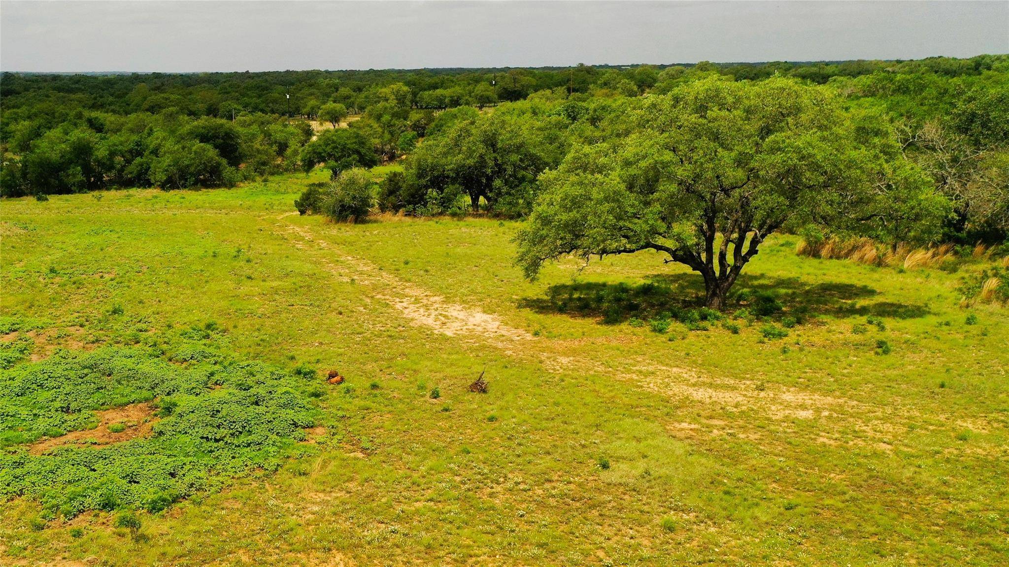 TBD CR 321, Bertram, TX 78605
