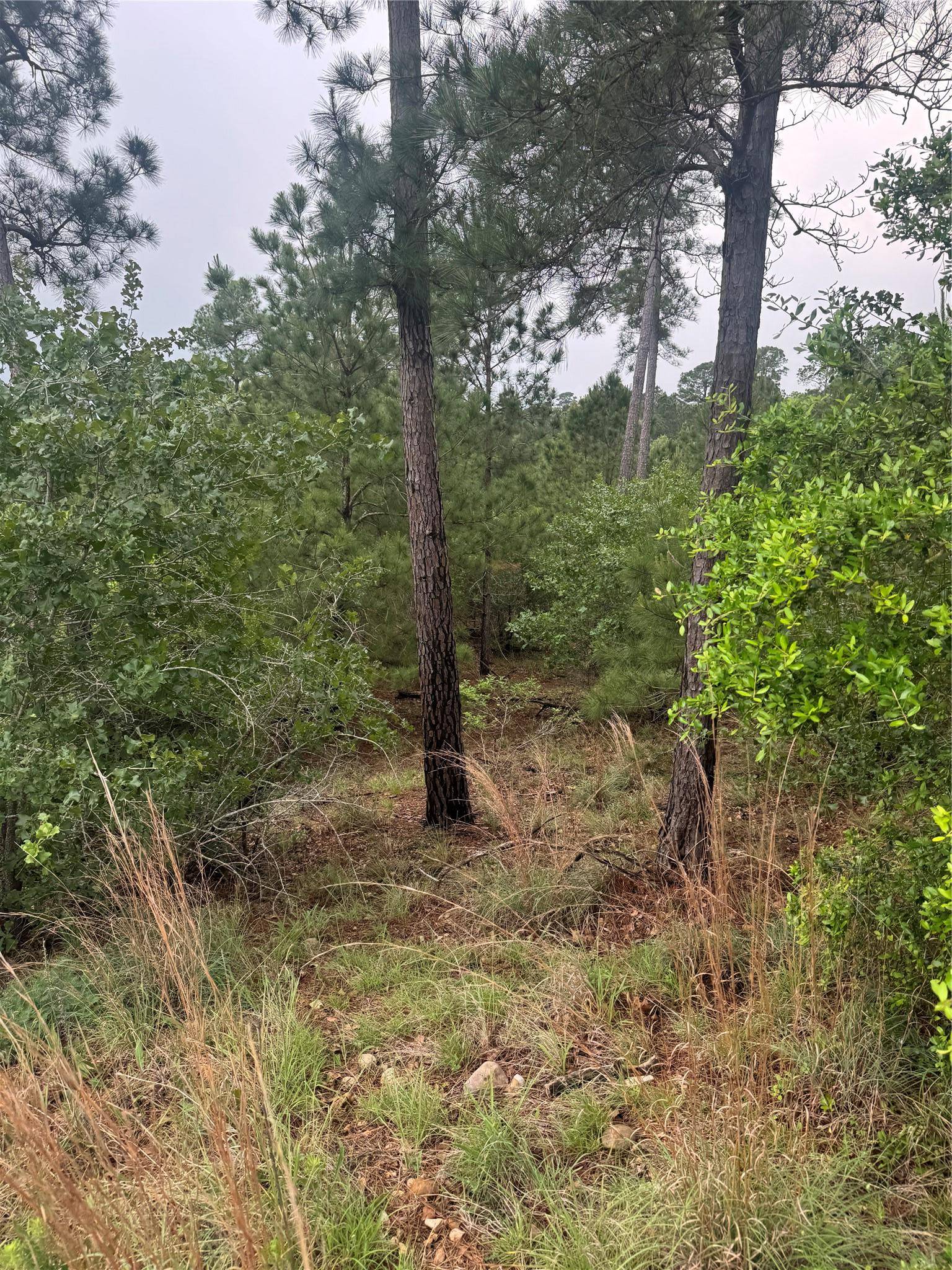 Lot 1613 Kaanapali LN, Bastrop, TX 78602