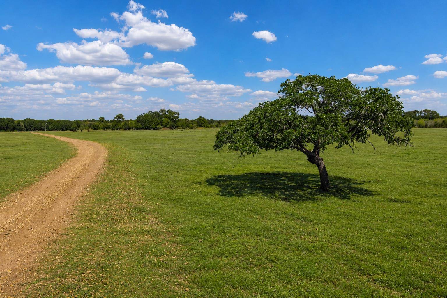 3995 COUNTY ROAD 405, Lexington, TX 78947
