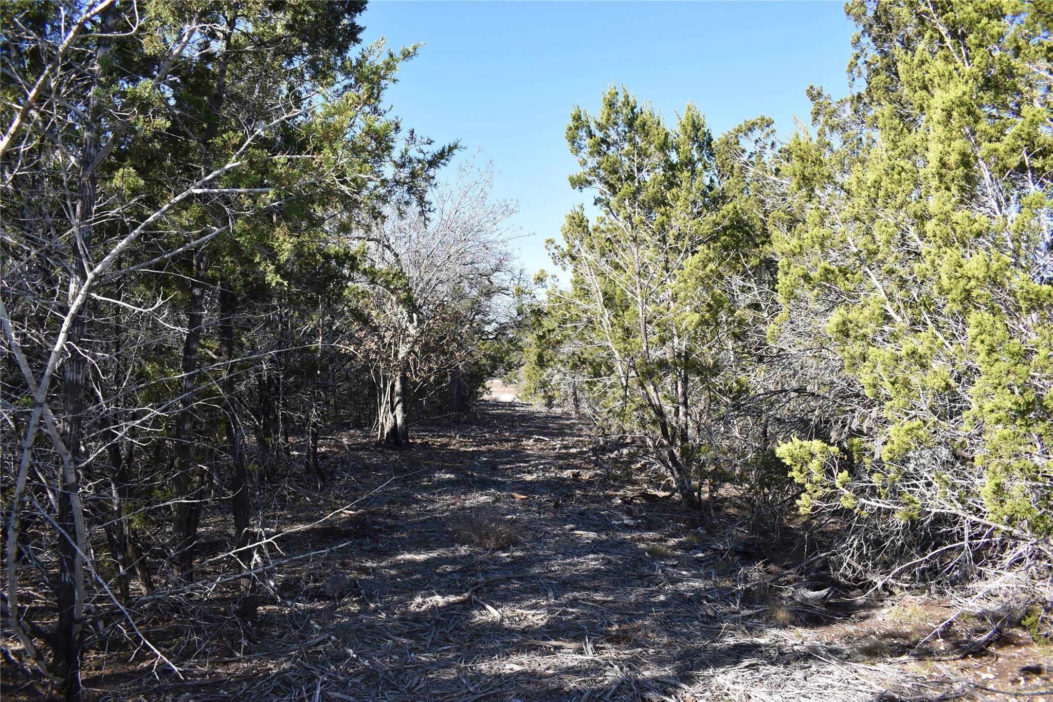 Lot 35 Riparian Elm RD, Bertram, TX 78605