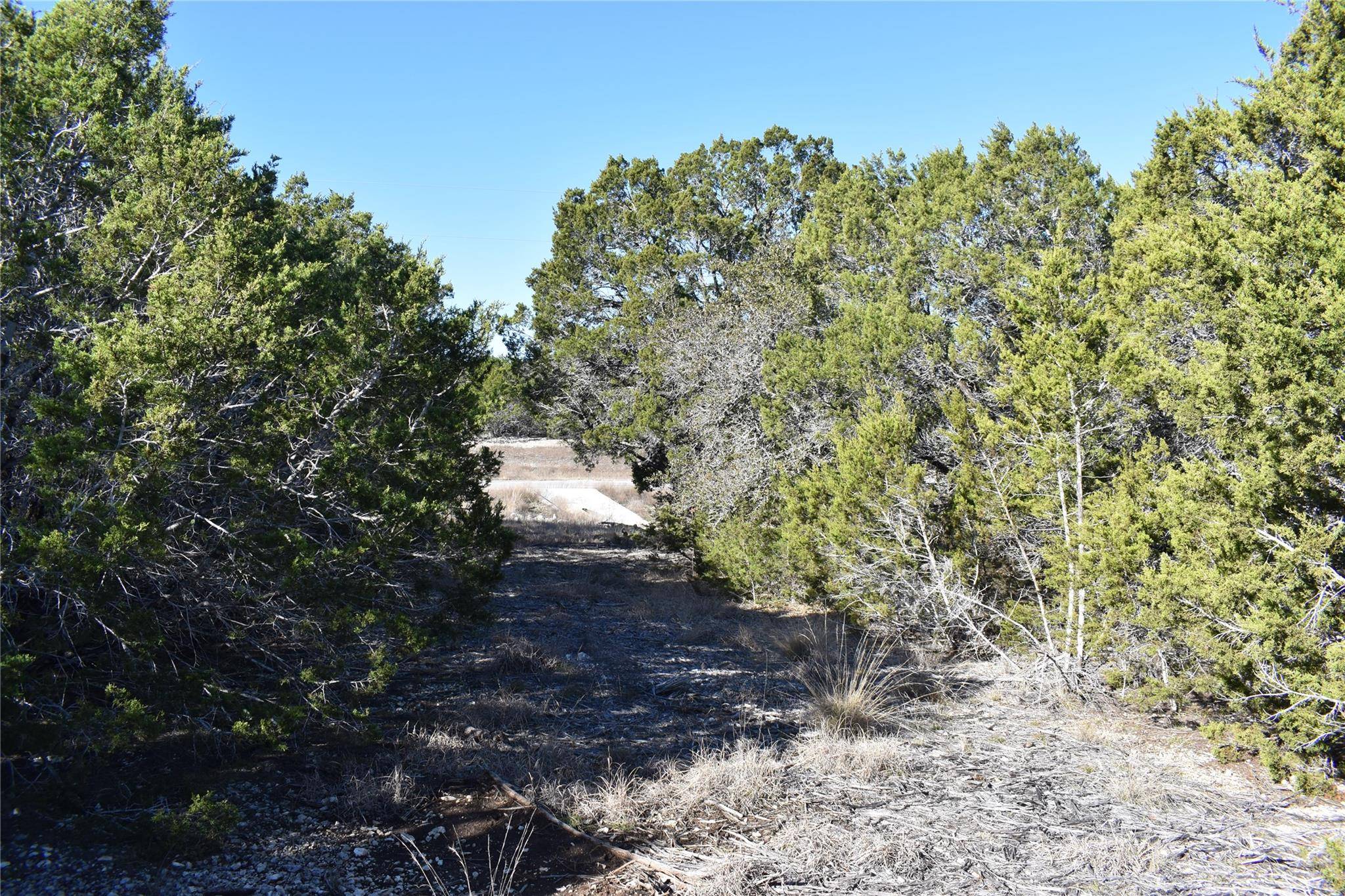 Lot 35 Riparian Elm RD, Bertram, TX 78605