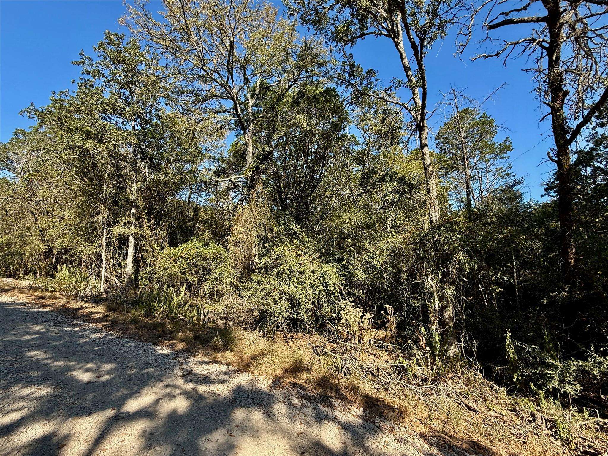 TBD Lot 1232 Hanauma DR, Bastrop, TX 78602
