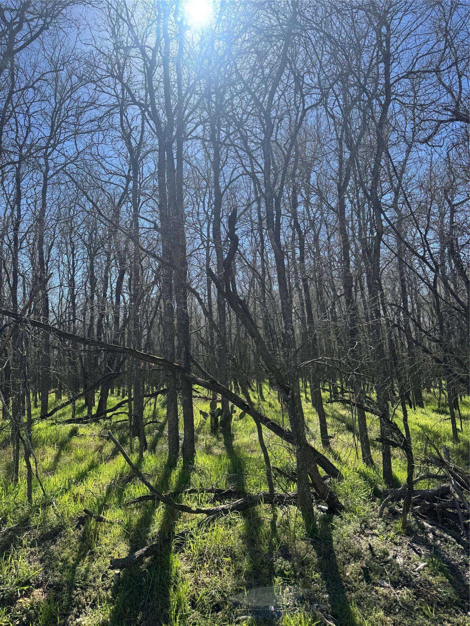 289 Iva LN, Bastrop, TX 78602