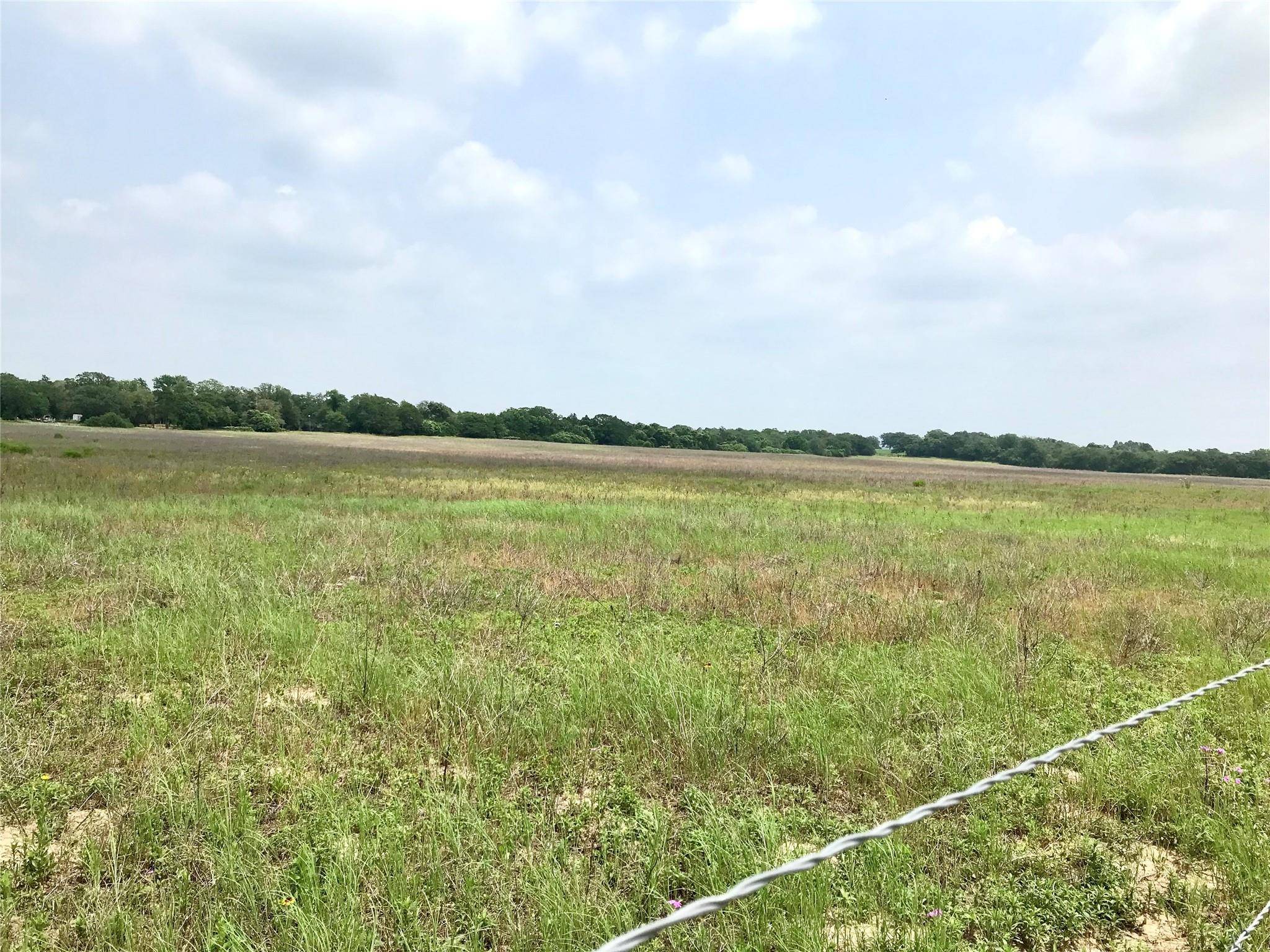 1672 Sayers Tract 3 RD, Bastrop, TX 78602