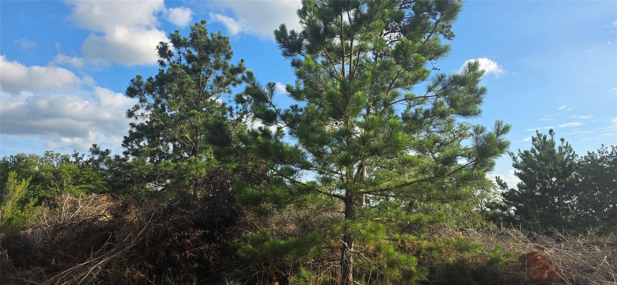 400 McAllister RD, Bastrop, TX 78602
