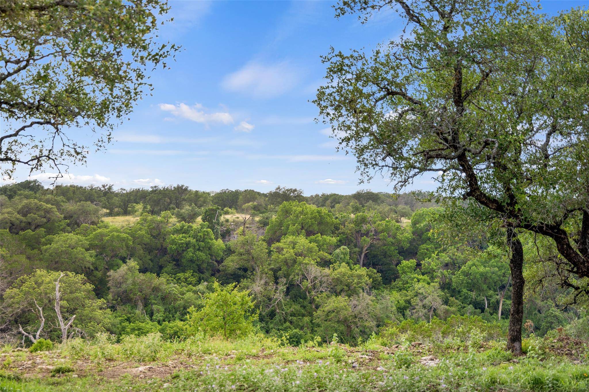 Lot 7 Pedernales Canyon TRL #Lot 7, Spicewood, TX 78669