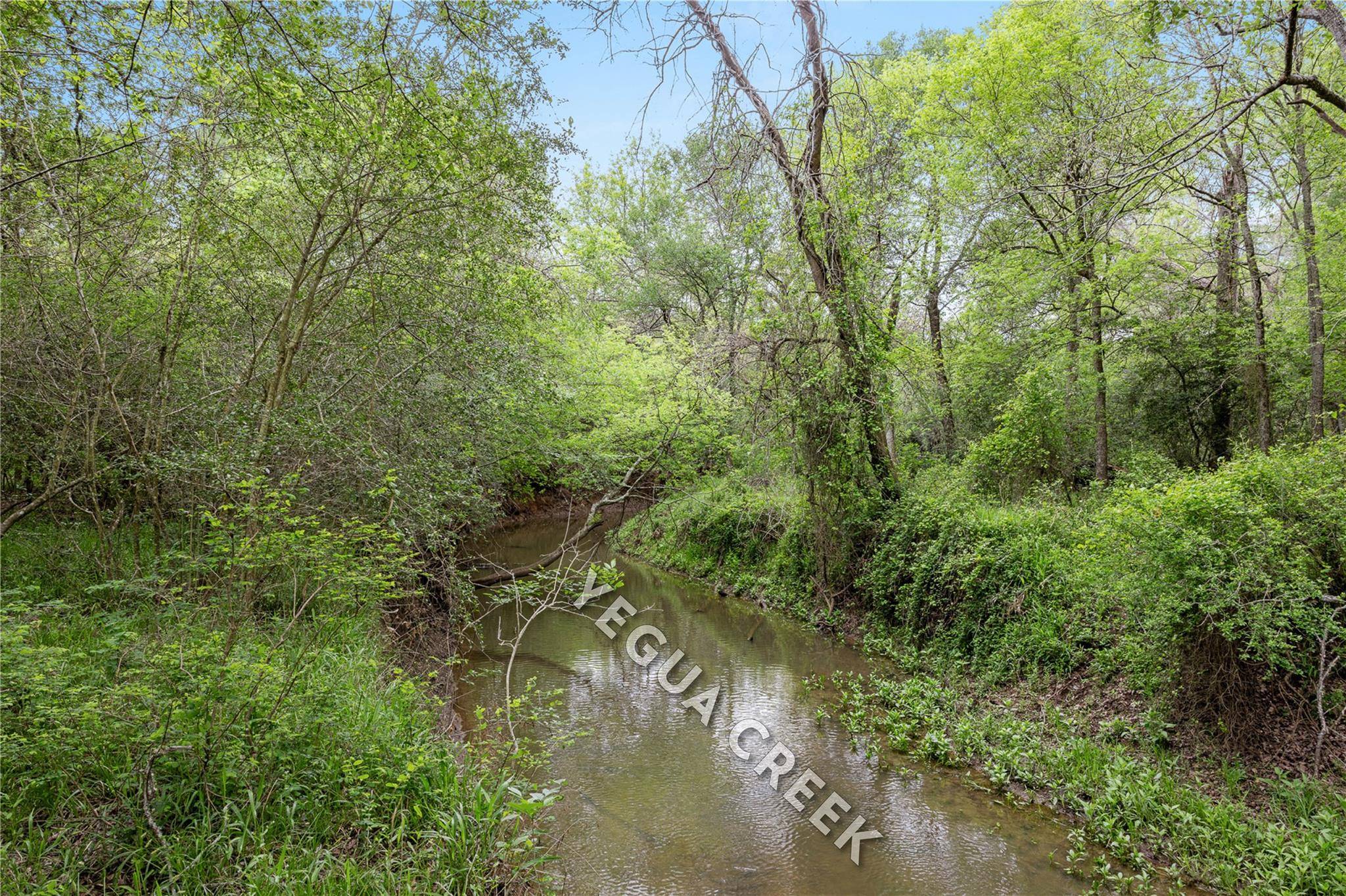 TBD County Road 433, Dime Box, TX 77853
