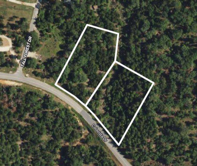 TBD - Lots 1 & 41 Colovista DR, Bastrop, TX 78602