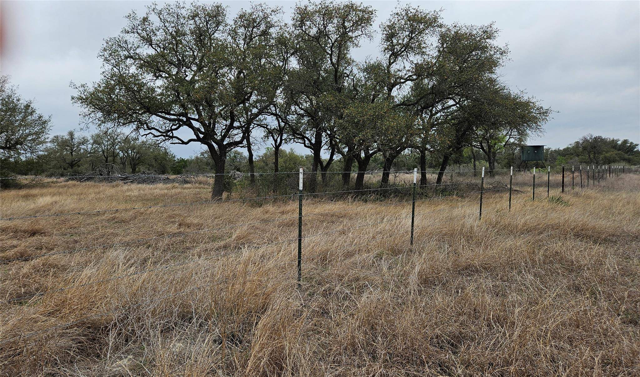 000 C.R,316, Walburg, TX 78626