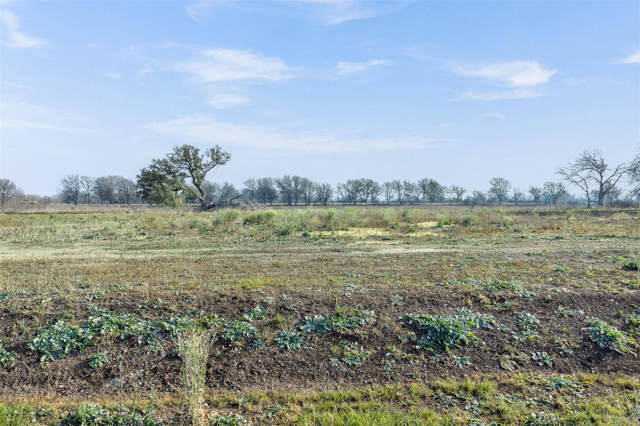 598 Northwest River RD, Martindale, TX 78655