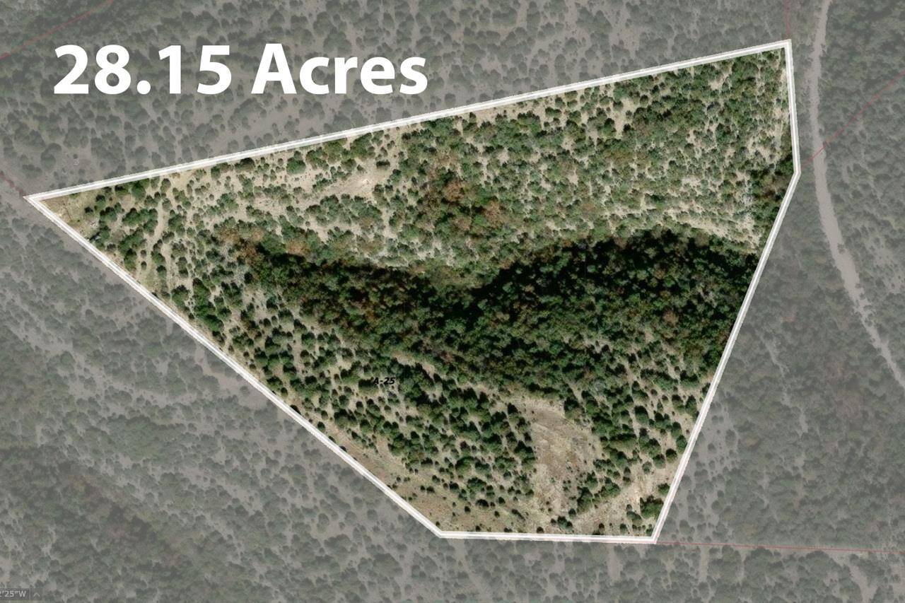 Address not disclosed, Rocksprings, TX 78880