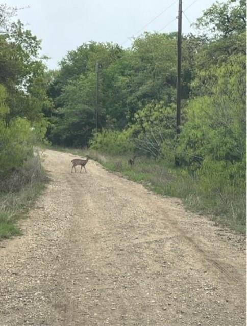 Lot 755 Bali Hai LN, Bastrop, TX 78602