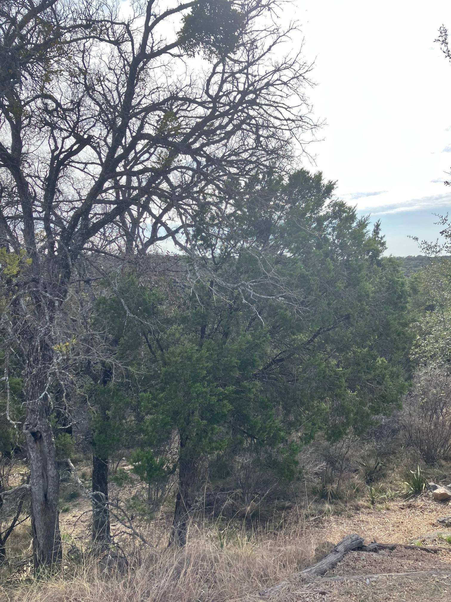 27125 HI Mesa, Horseshoe Bay, TX 78657