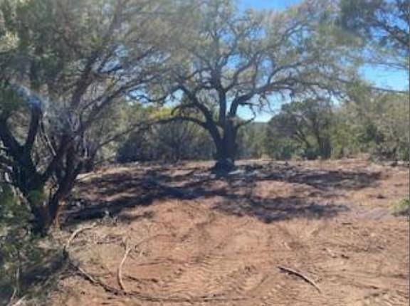 495 Buffalo Creek (Lot 95) DR, Evant, TX 76525
