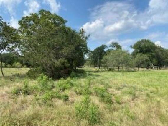 495 Buffalo Creek (Lot 95) DR, Evant, TX 76525