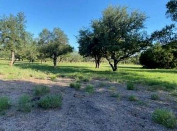 495 Buffalo Creek (Lot 95) DR, Evant, TX 76525