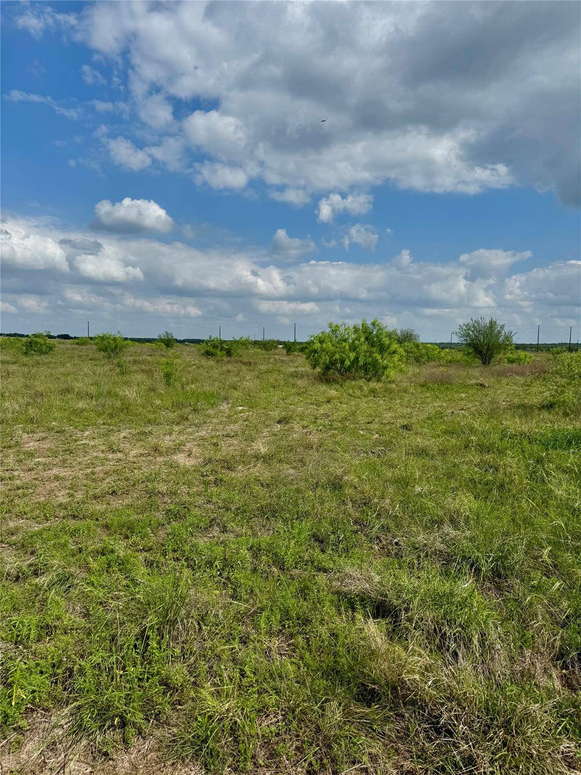 311 CR 473, Thrall, TX 76578
