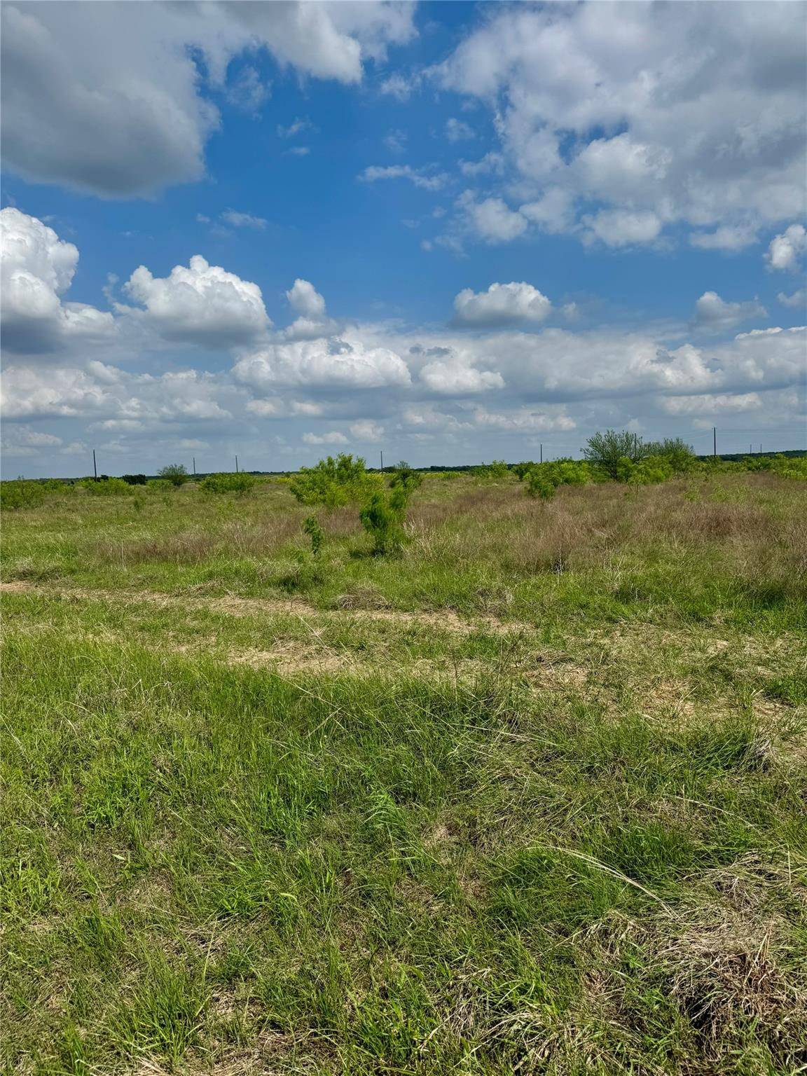 311 CR 473, Thrall, TX 76578