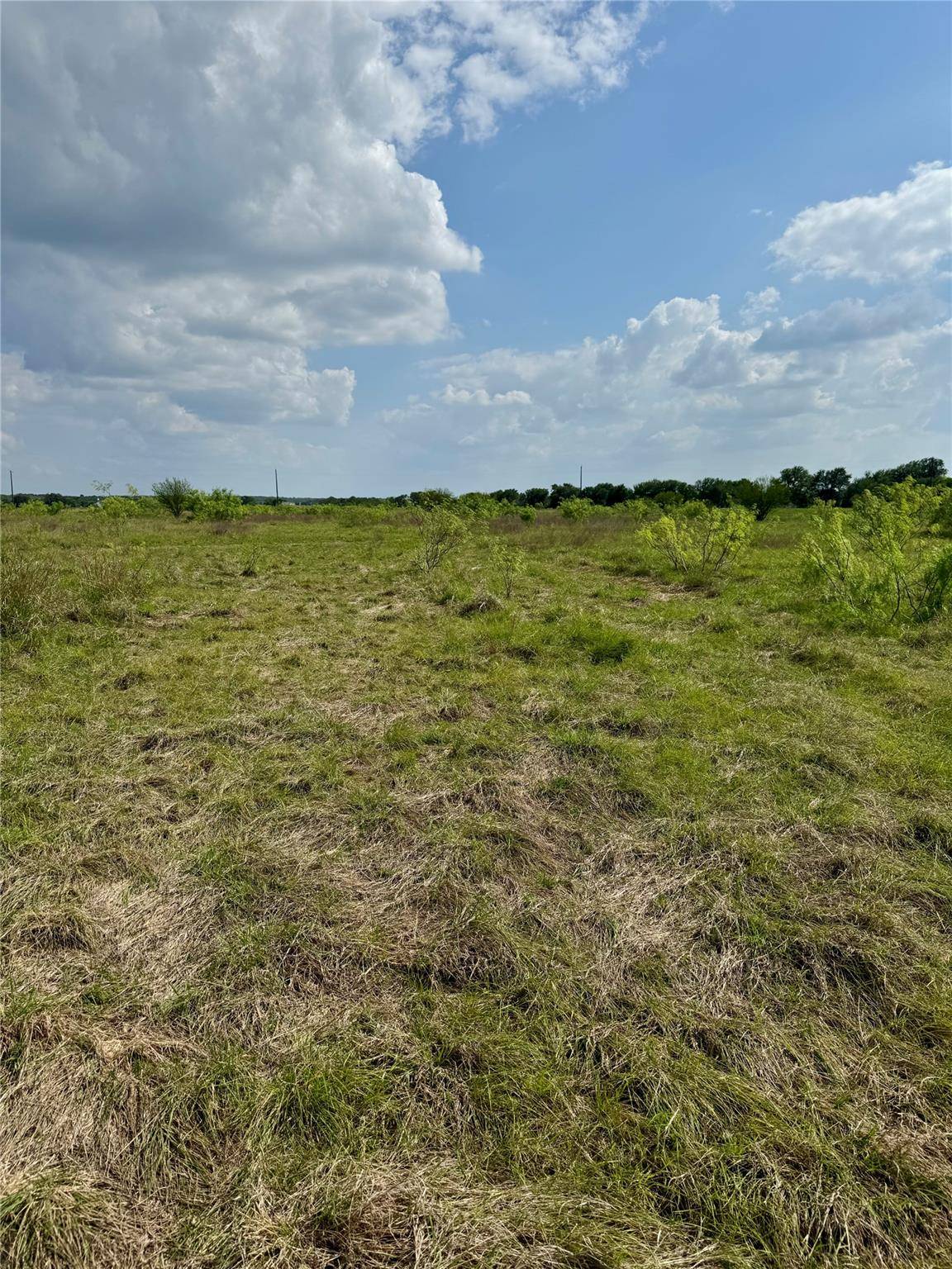 311 CR 473, Thrall, TX 76578