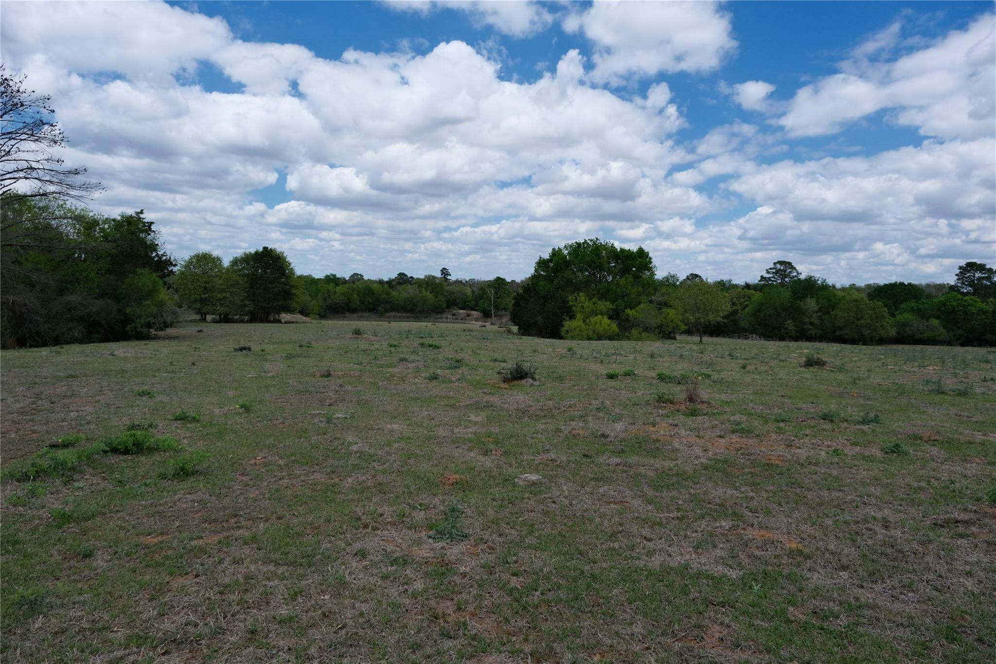 446 Herron TRL, Mcdade, TX 78650