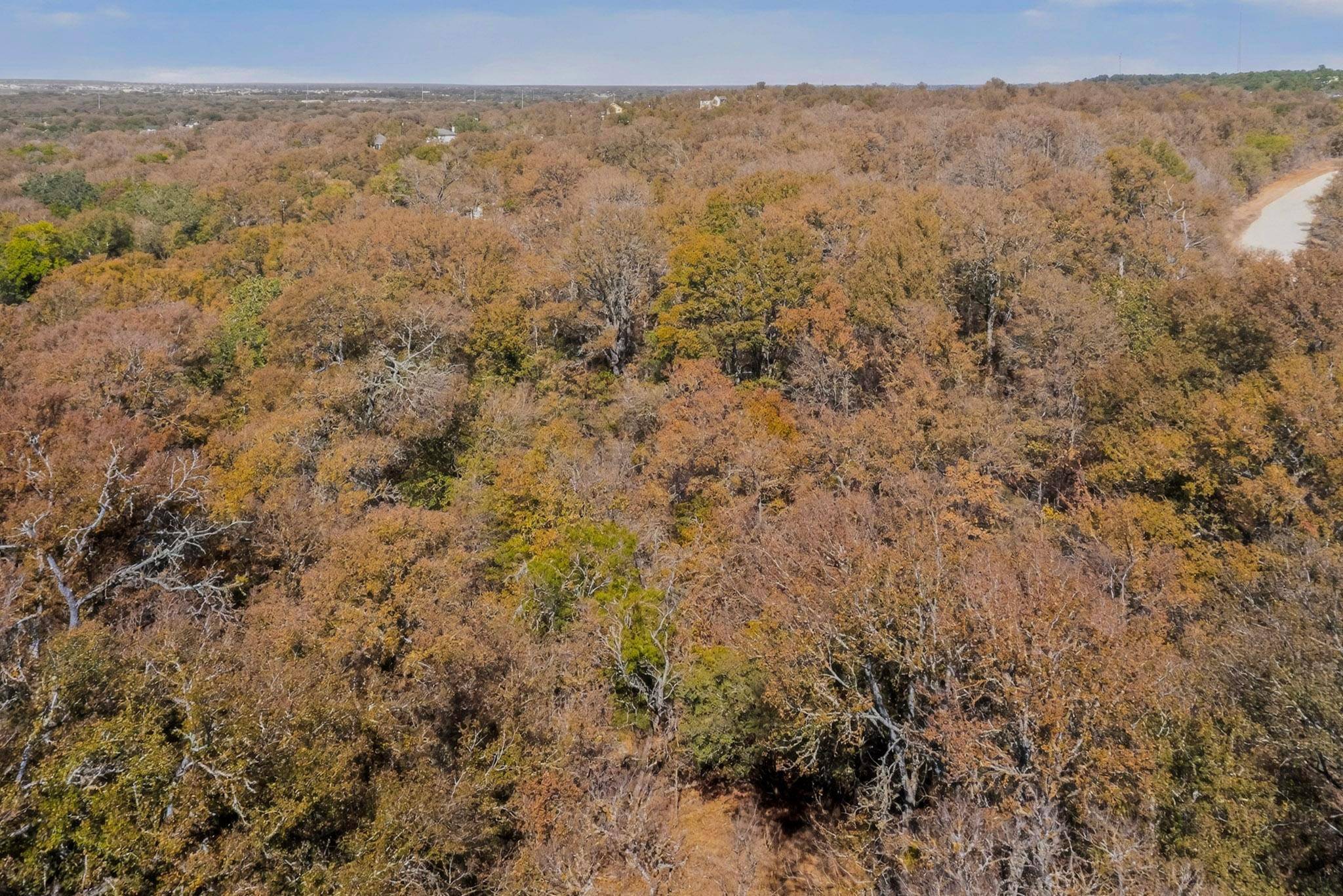 178 Helemano DR, Bastrop, TX 78602