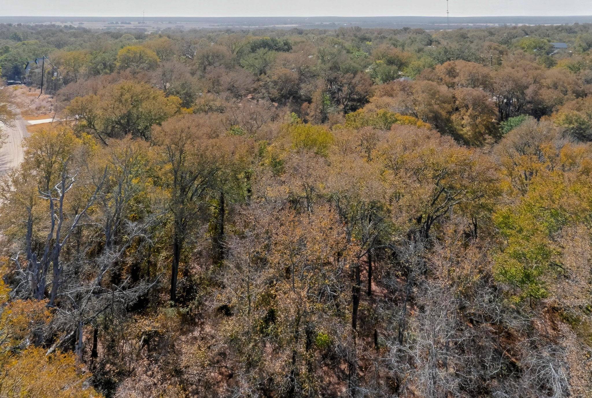 178 Helemano DR, Bastrop, TX 78602