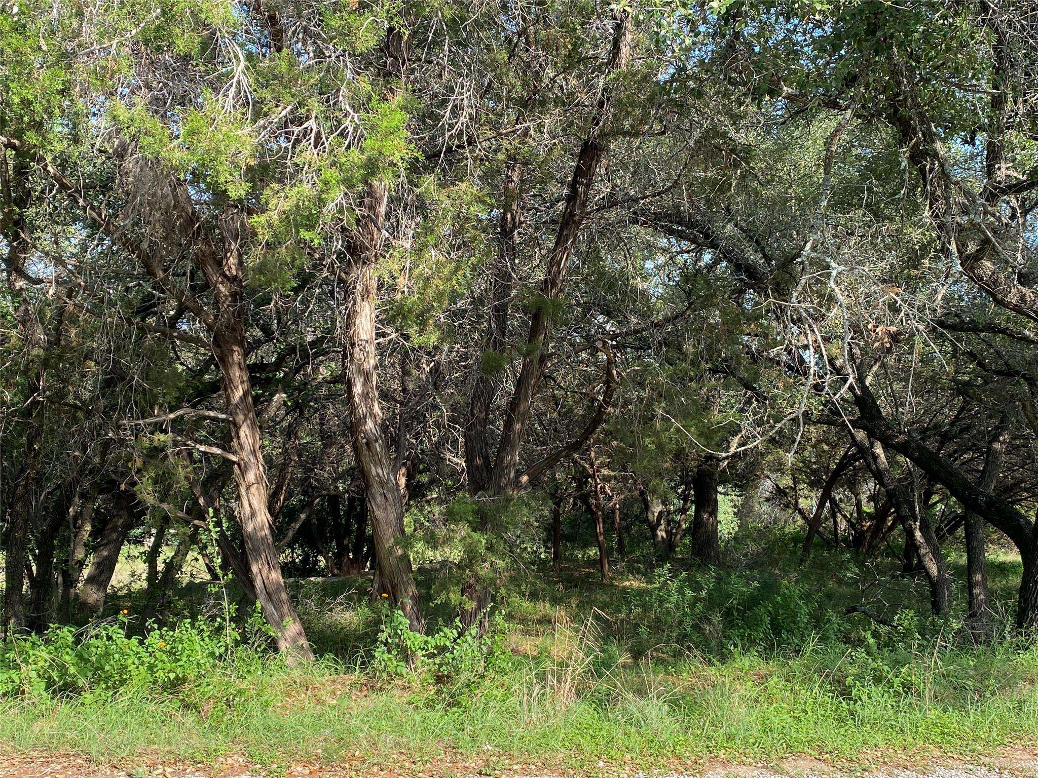 1401 Sharps RD, Austin, TX 78734