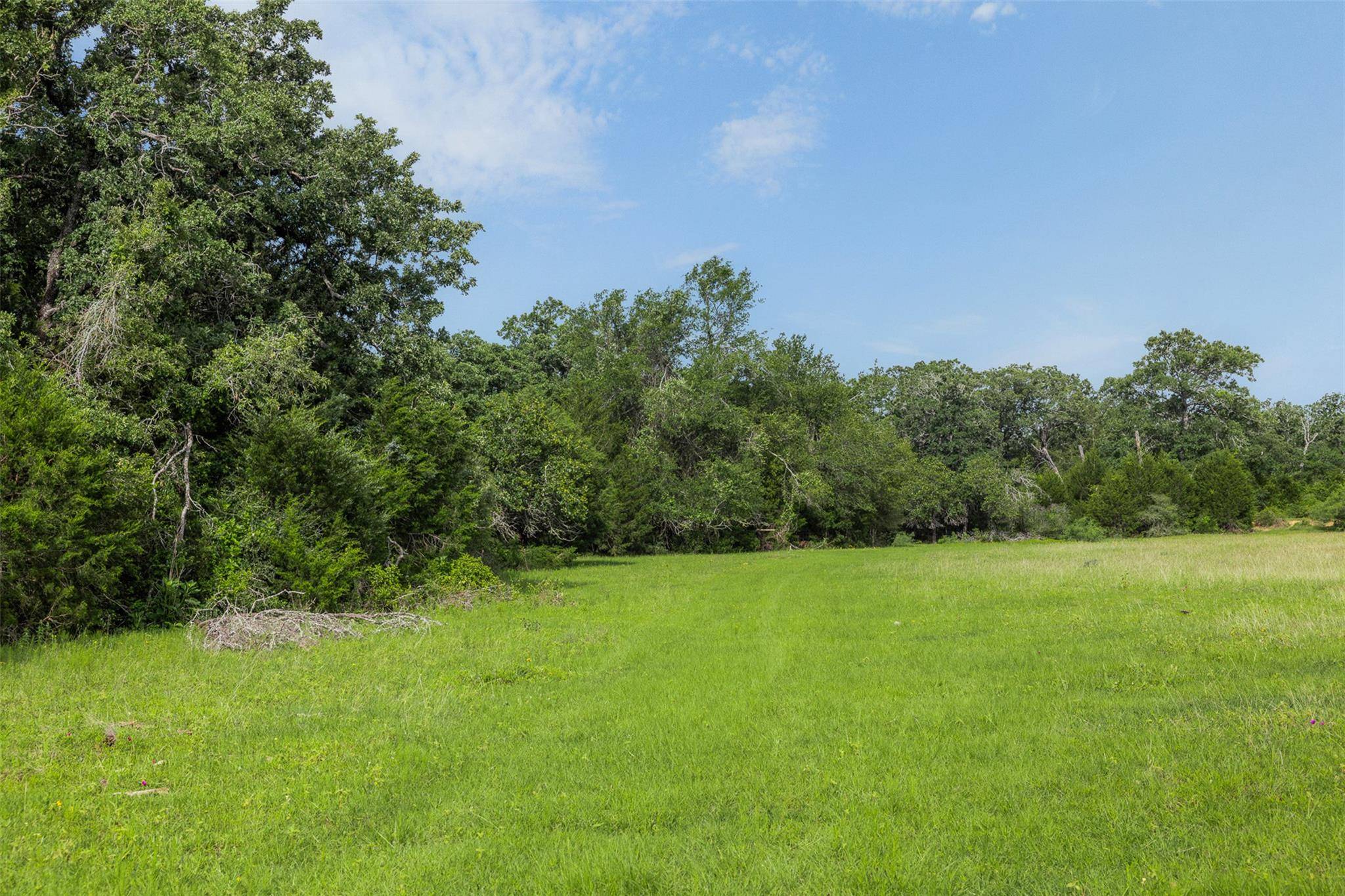 TBD County Road 459 RD, Thorndale, TX 76577