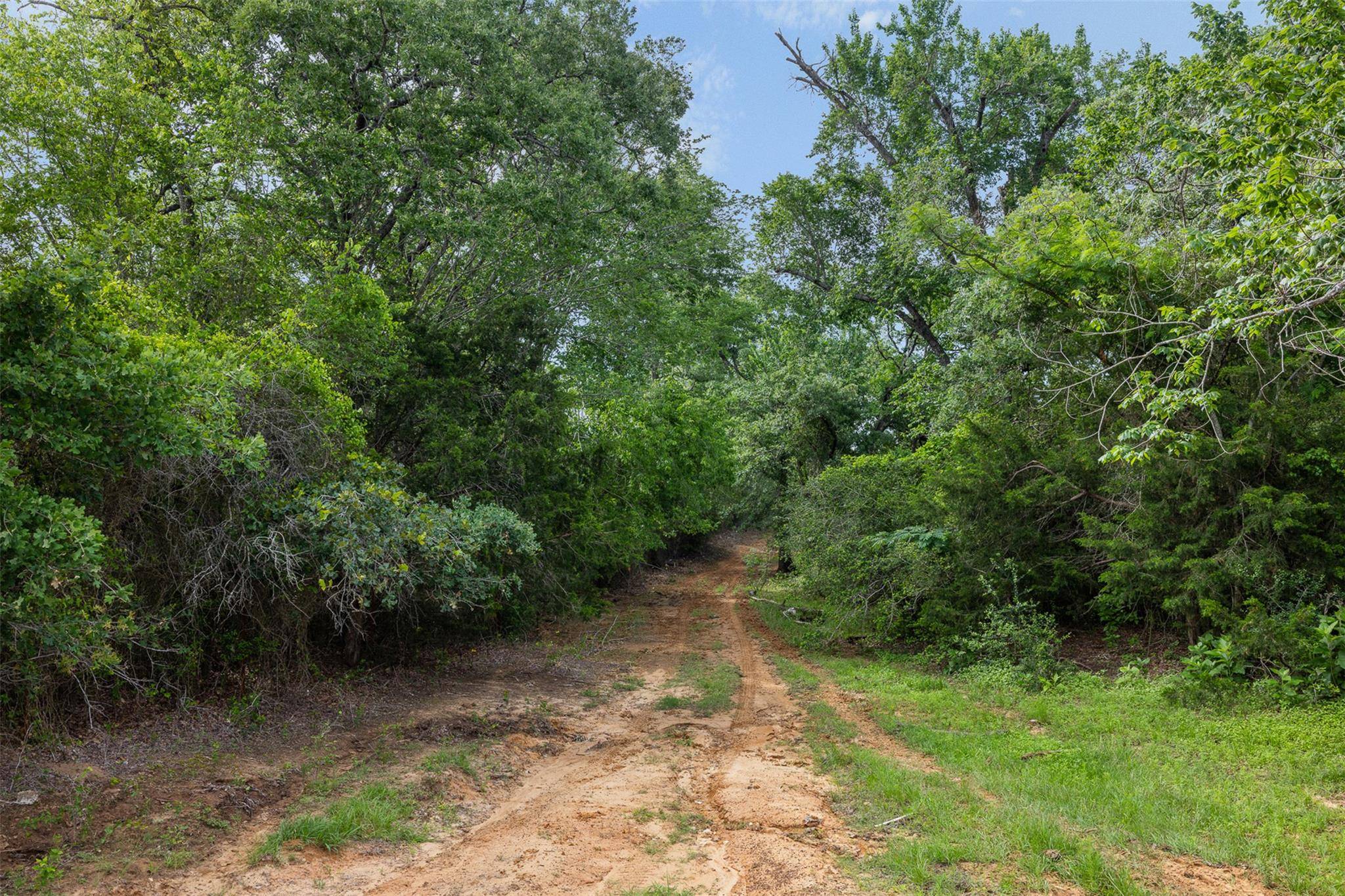 TBD County Road 459 RD, Thorndale, TX 76577
