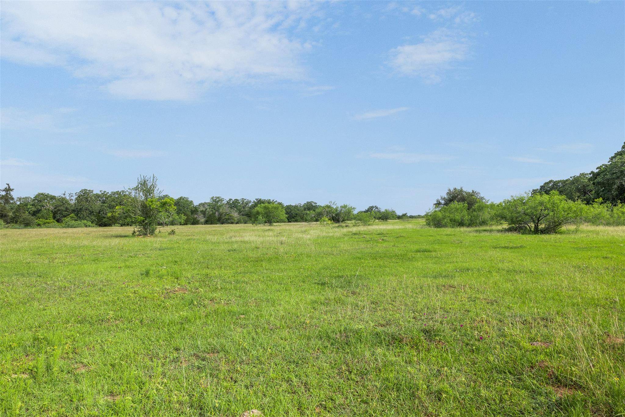 TBD County Road 459 RD, Thorndale, TX 76577