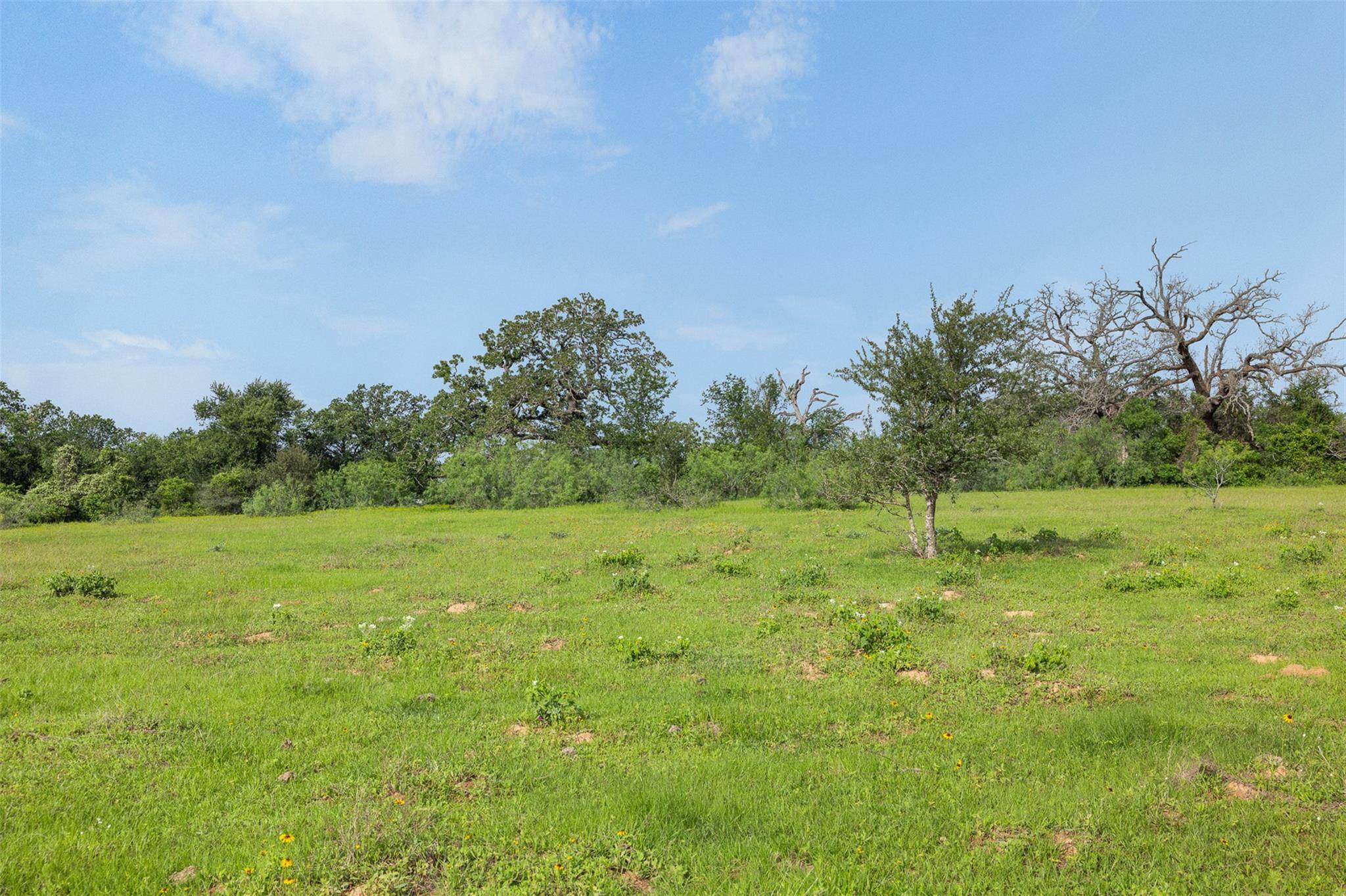TBD County Road 459 RD, Thorndale, TX 76577