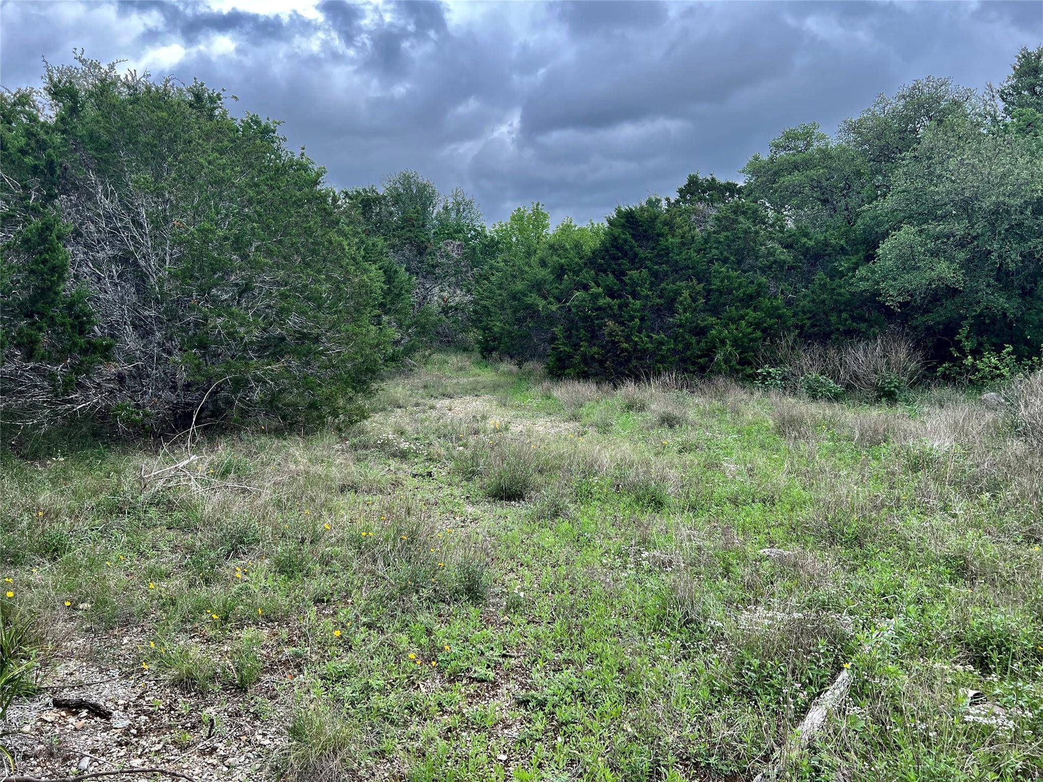 15006 PHEASANT LN, Austin, TX 78734