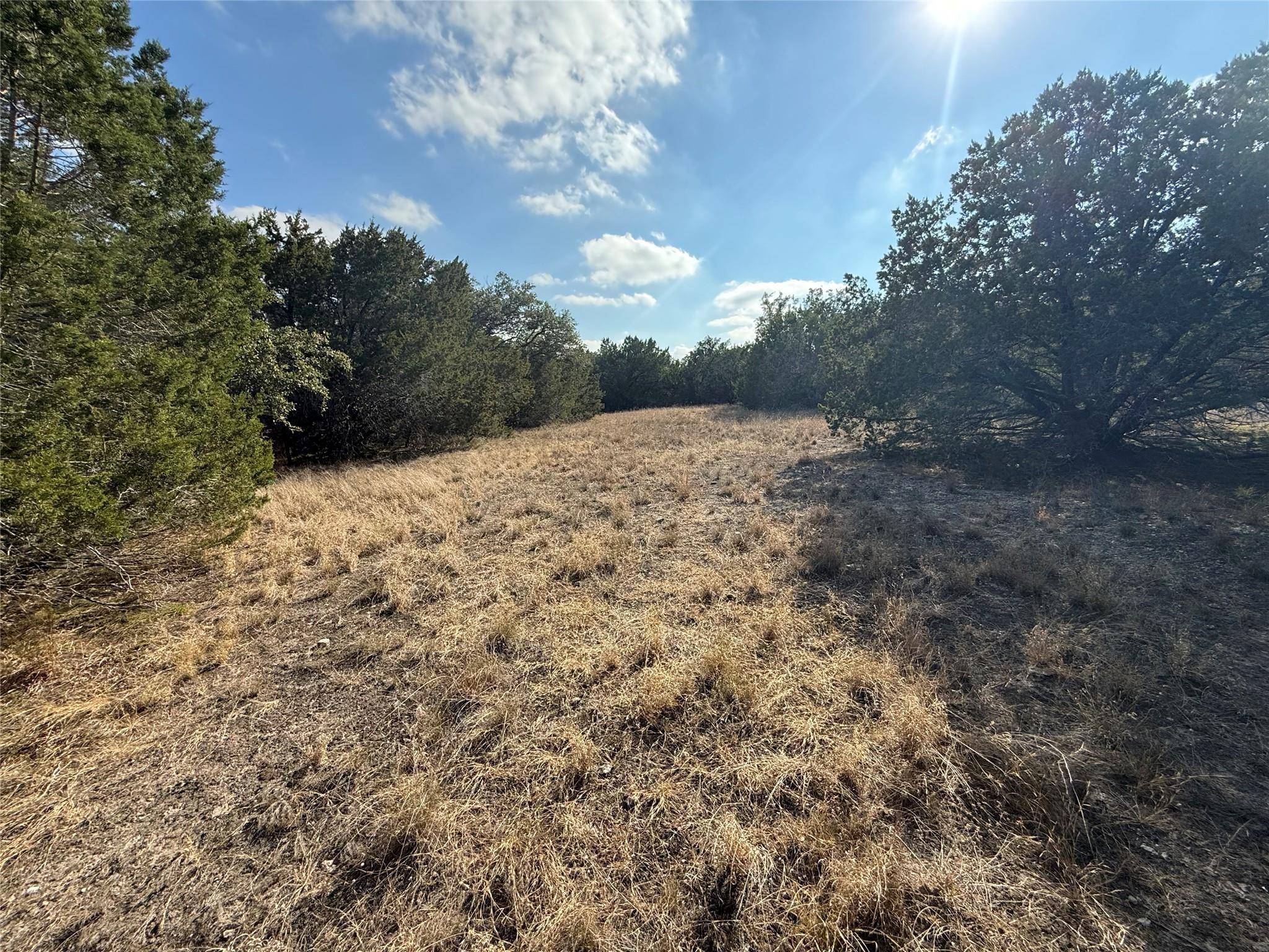 Address not disclosed, Cypress Mill, TX 78663