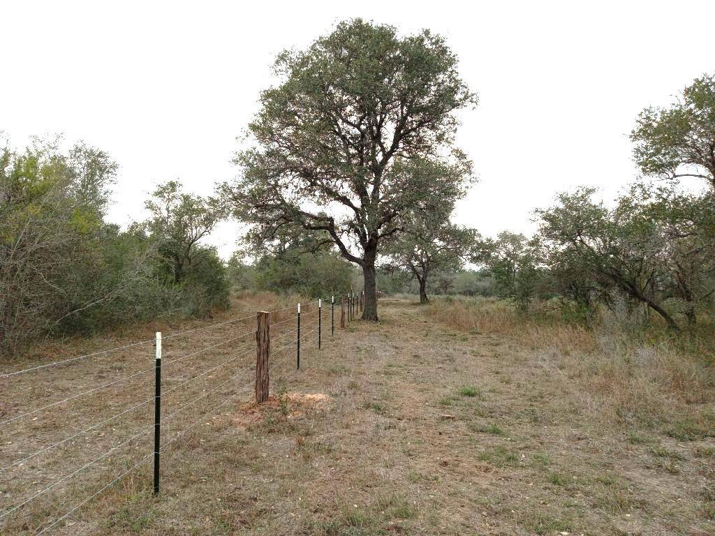 251 Lefty Lane LN, Goliad, TX 77963