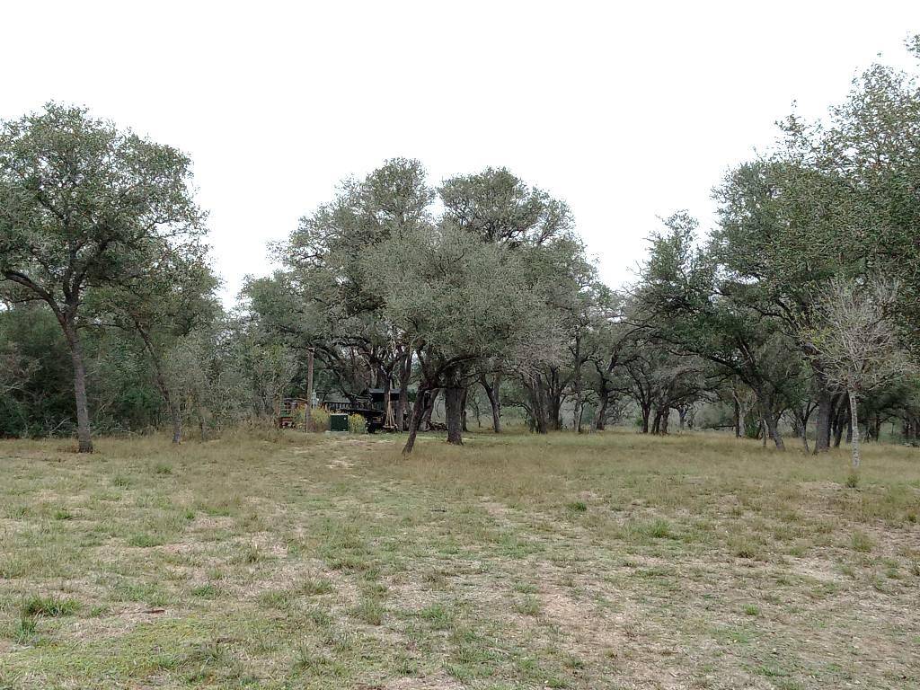 251 Lefty Lane LN, Goliad, TX 77963