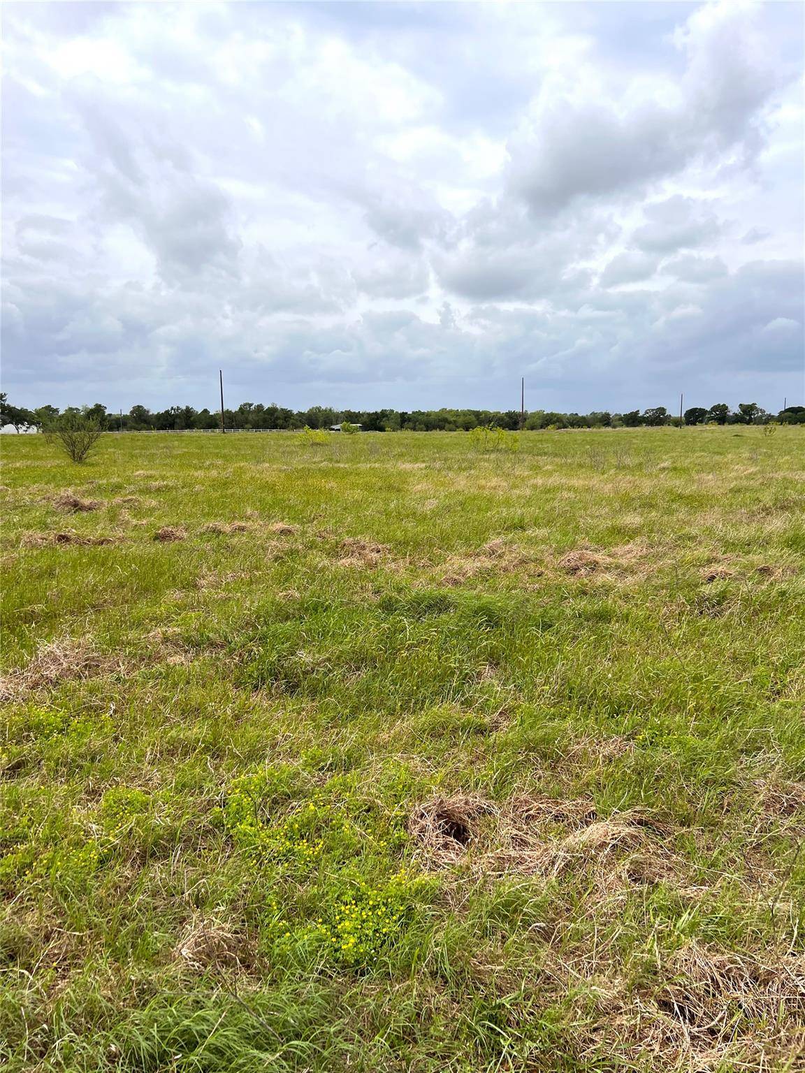 TBD Lot 2 FM 112 RDS, Thrall, TX 76578