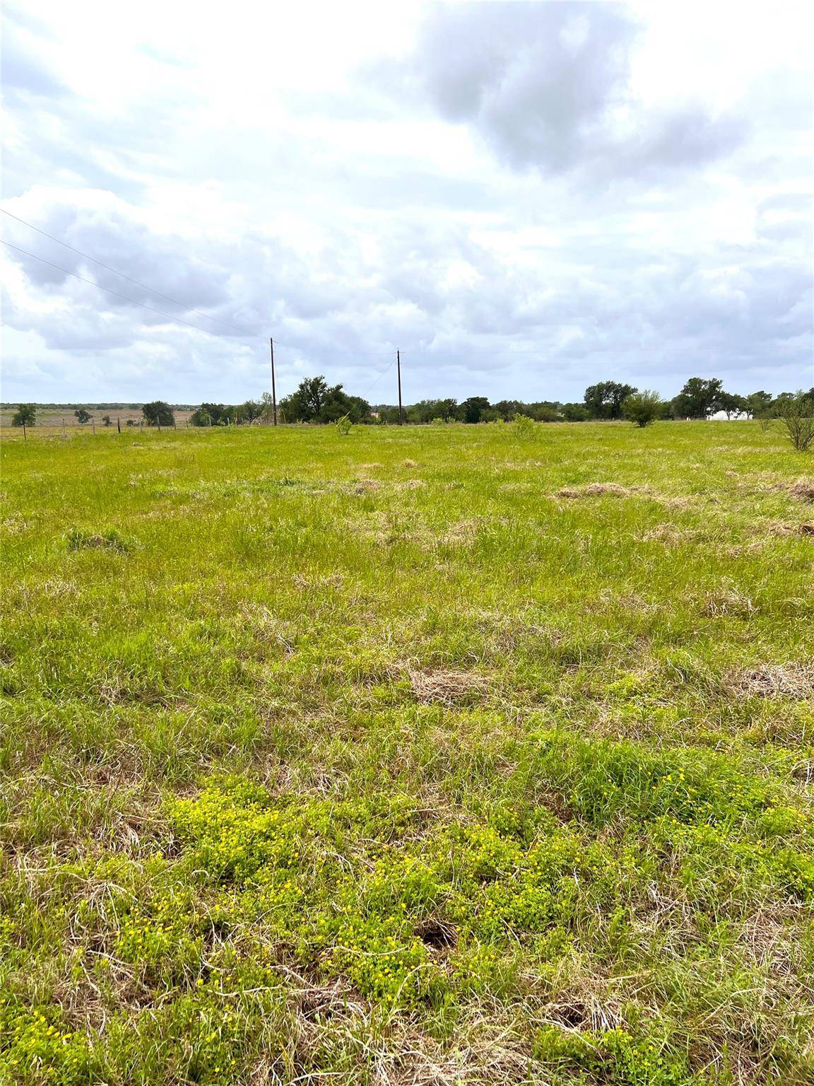 TBD Lot 2 FM 112 RDS, Thrall, TX 76578